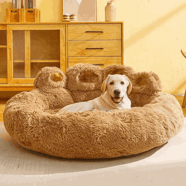 Cama PET nuvem para cão e gato antialérgico