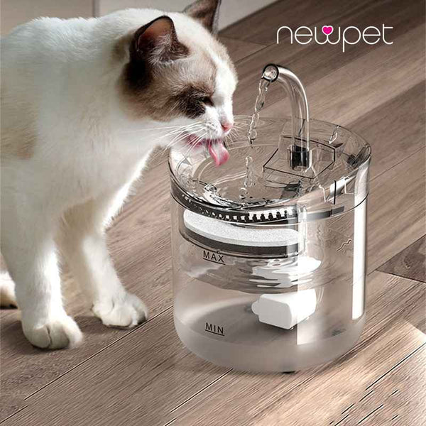 Bebedor automático sensor inteligente para pets